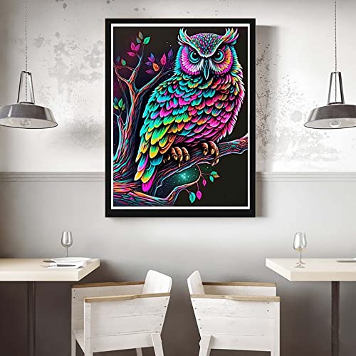 Owl | Diamond Painting