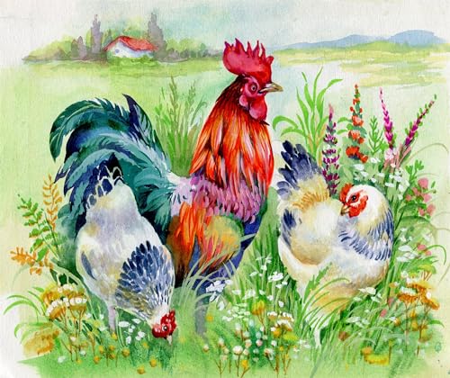 Chicken | Diamond Painting