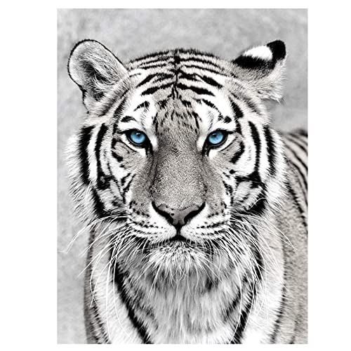 White Tiger Blue Eyes | Diamond Painting