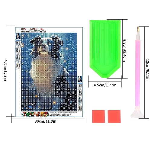 Dog Border Collie | Diamond Painting