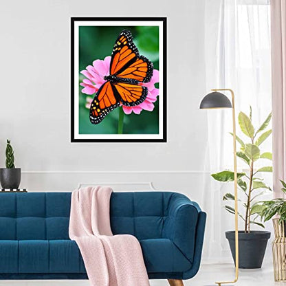 Monarch Butterfly | Diamond Painting