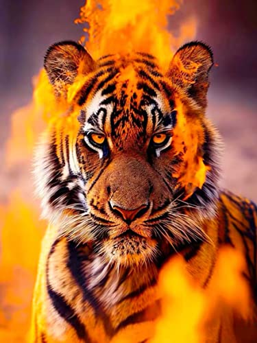 Tiger | Diamond Painting