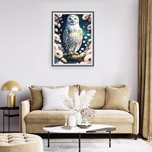 Owl | Diamond Painting