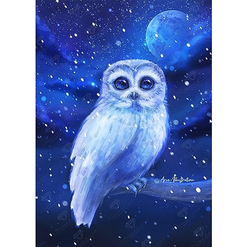 White Owl | Diamond Painting