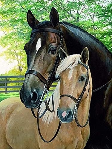 Black Horse | Diamond Painting