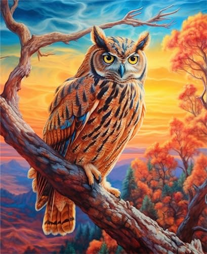 Owl | Diamond Painting