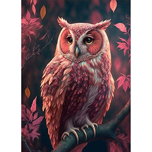 Owl | Diamond Painting