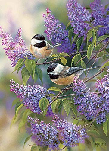 Robin Bird | Diamond Painting