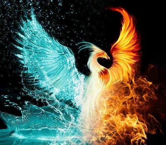 Phoenix Bird | Diamond Painting