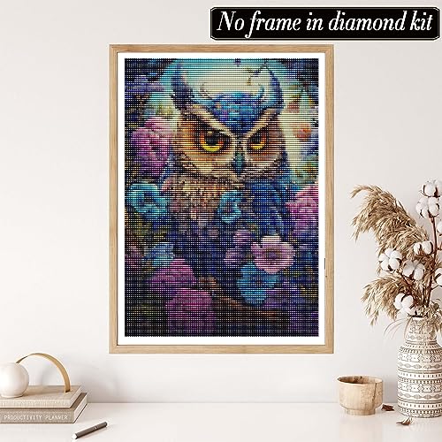 Owl | Diamond Painting