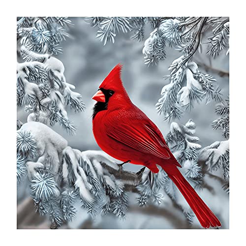 Red Cardinal Bird | Diamond Painting