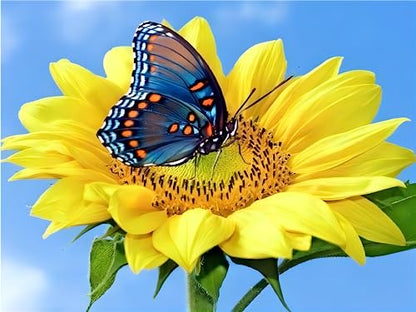 Butterfly | Diamond Painting