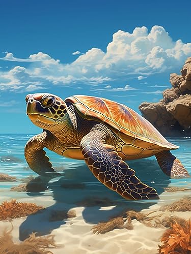 Turtle | Diamond Painting