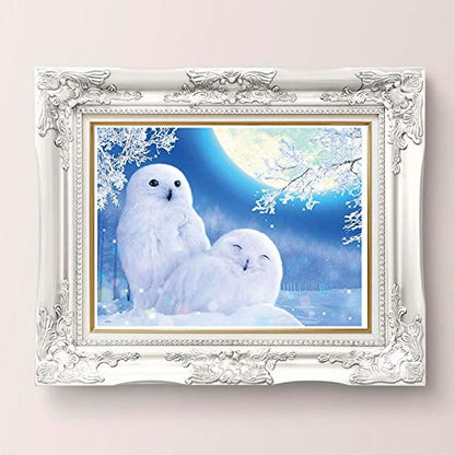 White Owl | Diamond Painting