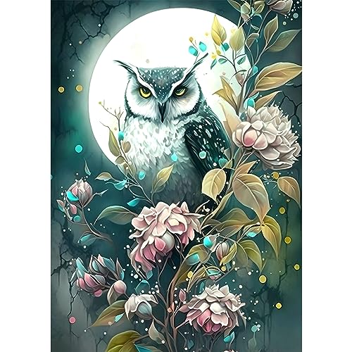 Owl | Diamond Painting