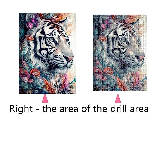 Tiger | Diamond Painting