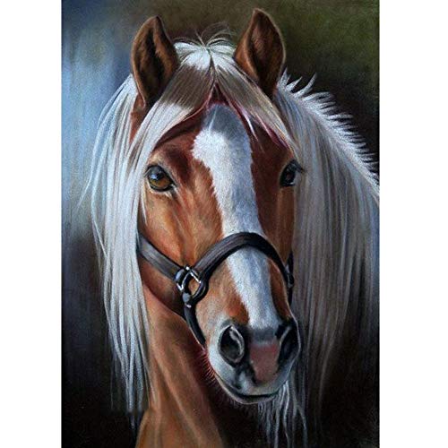 Horse | Diamond Painting