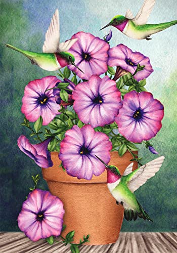 Morning Glory Hummingbird | Diamond Painting