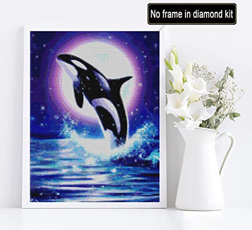 Dolphin | Diamond Painting