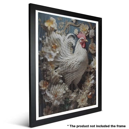 Rooster Chicken | Diamond Painting