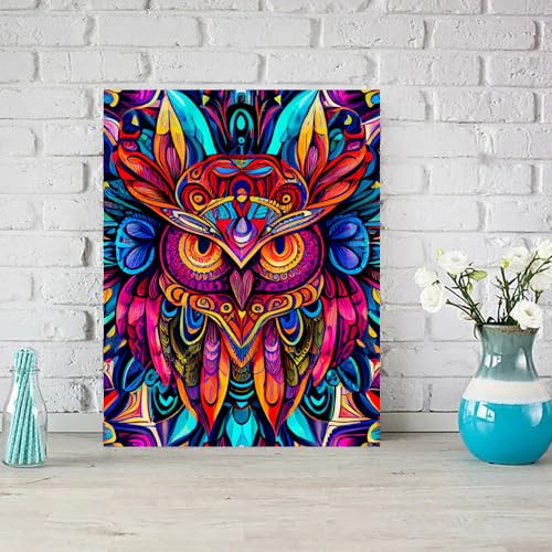 Owl | Diamond Painting