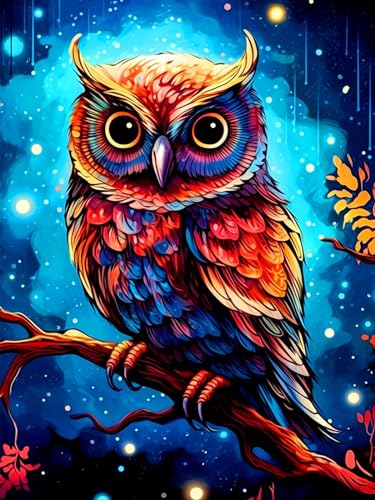 Owl | Diamond Painting