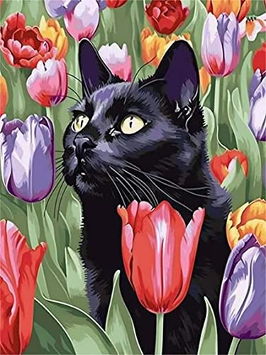 Black Cat | Diamond Painting