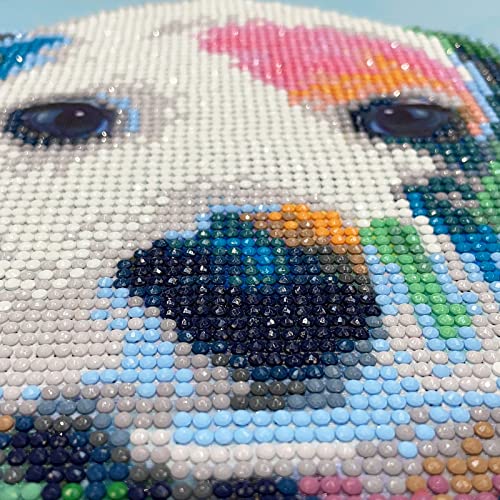 Dog | Diamond Painting