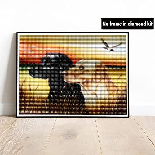 Black Yellow Labrador Dog | Diamond Painting