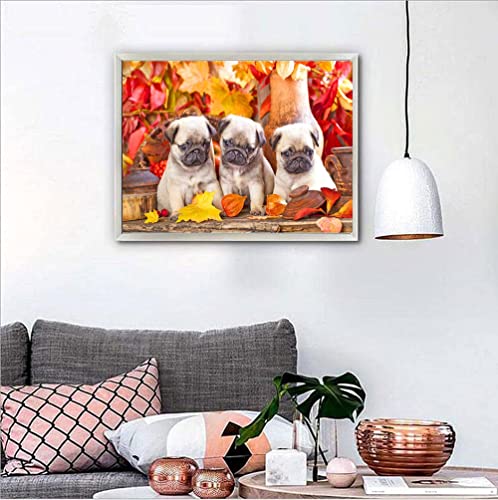 Dog Pug | Diamond Painting