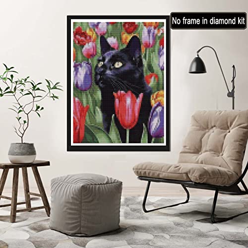 Black Cat | Diamond Painting