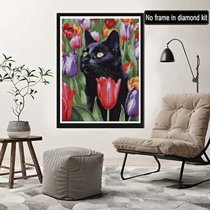Black Cat | Diamond Painting