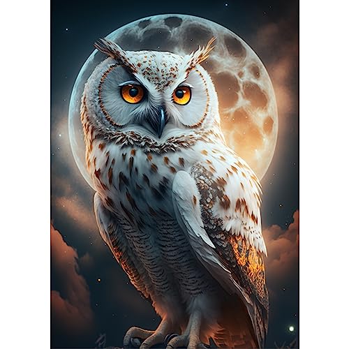 Owl | Diamond Painting