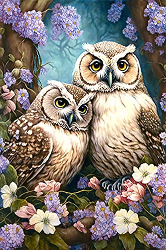 Owl | Diamond Painting