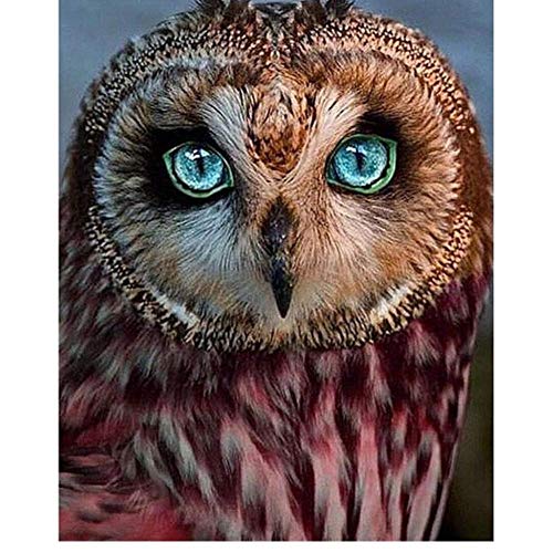 Owl | Diamond Painting