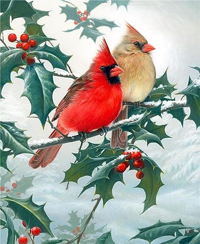 Cardinal Bird | Diamond Painting