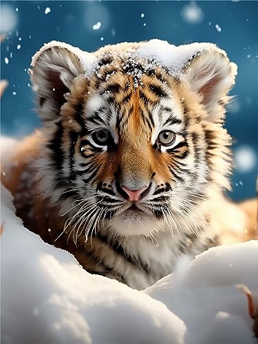 Tiger | Diamond Painting