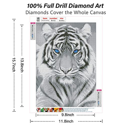White Tiger Blue Eyes | Diamond Painting