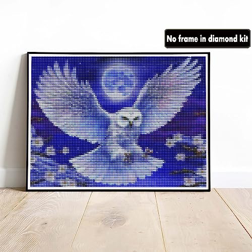 White Owl | Diamond Painting