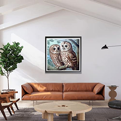 Owl | Diamond Painting