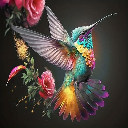 Hummingbird | Diamond Painting