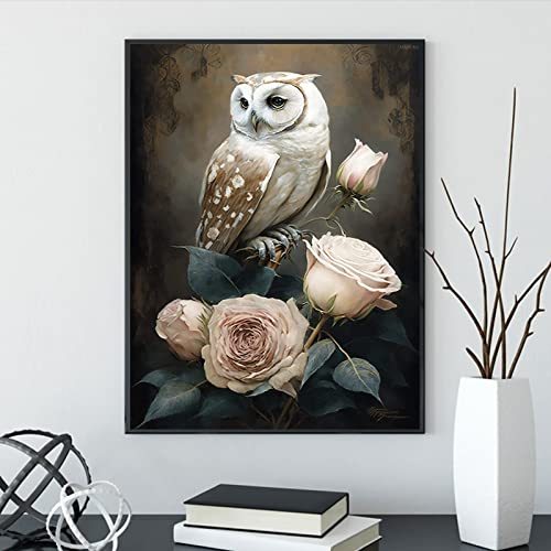 Owl | Diamond Painting