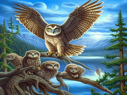Owl | Diamond Painting