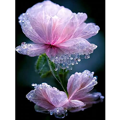 Water Droplets Flower | Diamond Painting