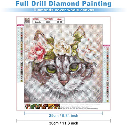 Maine Coon Cat | Diamond Painting