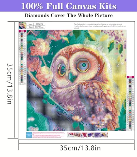 Owl | Diamond Painting