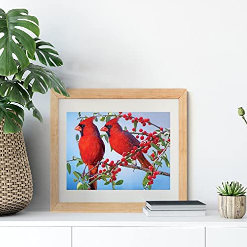 Cardinal Bird | Diamond Painting