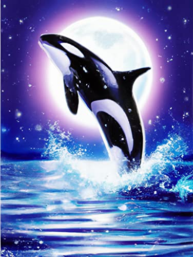 Dolphin | Diamond Painting