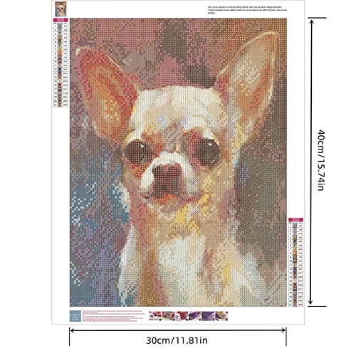 Dog Chihuahua | Diamond Painting