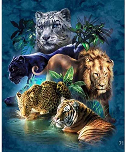 Lion | Diamond Painting